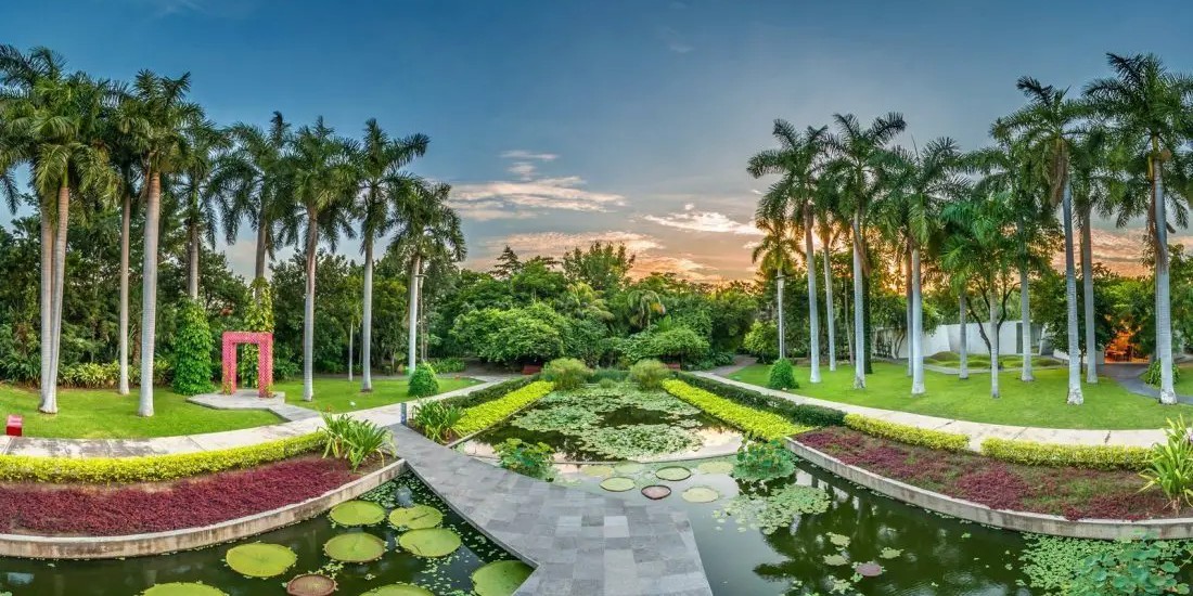 La riqueza botánica de México a través de sus jardines